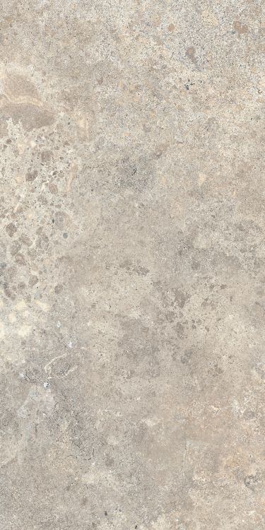 Beat Almond 12 x 24